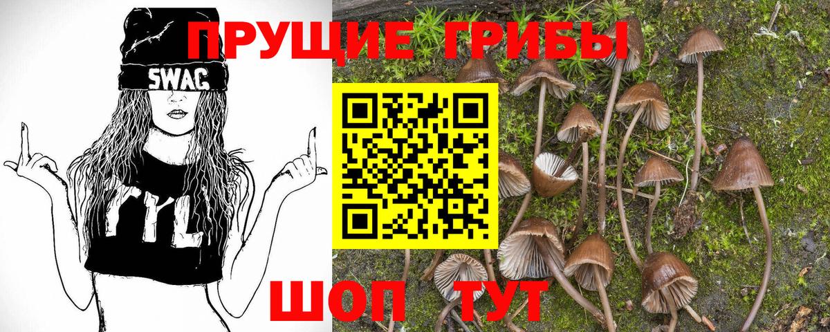 Псилоцибиновые грибы мухоморы Ангарск