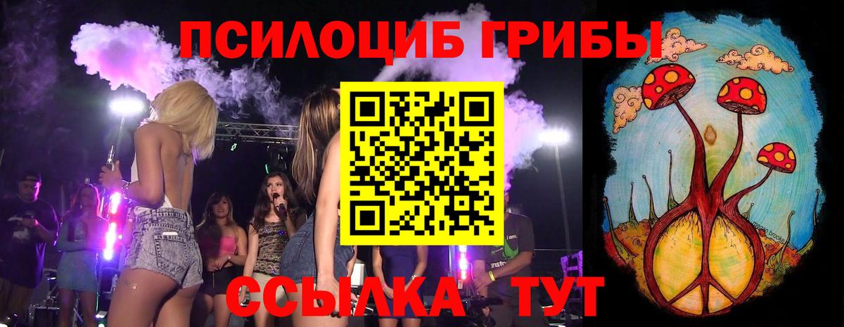 Ангарск  Псилоцибиновые грибы Psilocybine cubensis  Вход с VPN 